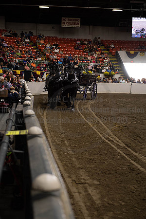 2019BigE_09292019_SCL_9935