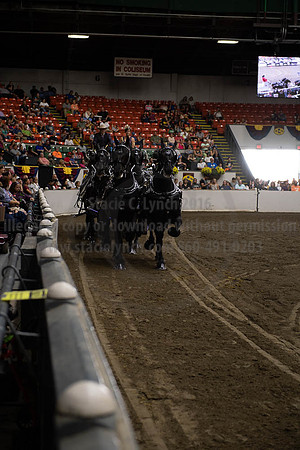 2019BigE_09292019_SCL_9936