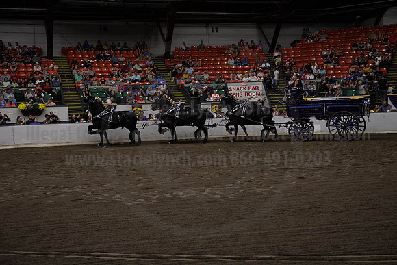 2019BigE_09292019_SCL_9939