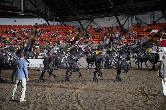 2019BigE_09292019_SCL_9940