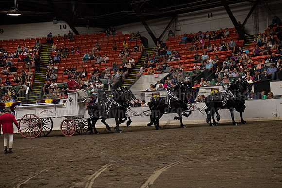 2019BigE_09292019_SCL_9950