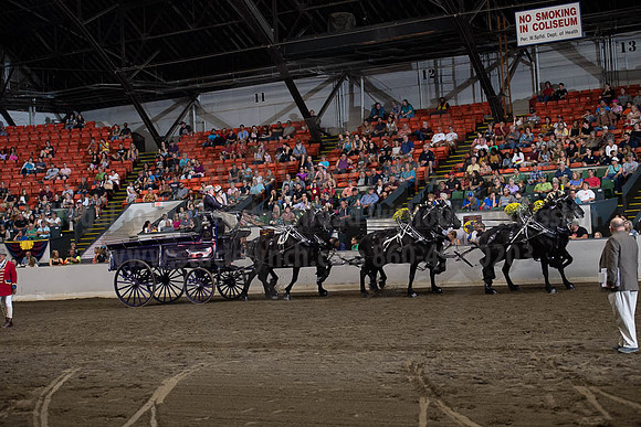 2019BigE_09292019_SCL_9953