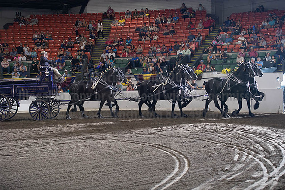 2019BigE_09292019_SCL_9955