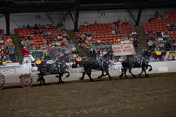 2019BigE_09292019_SCL_9956