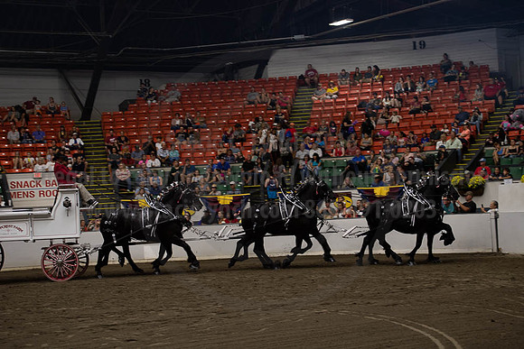 2019BigE_09292019_SCL_9957
