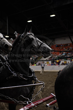 2019BigE_09292019_SCL_9966