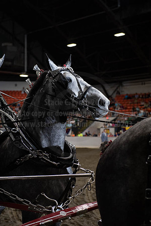 2019BigE_09292019_SCL_9967