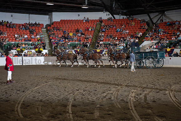 2019BigE_09292019_SCL_9970
