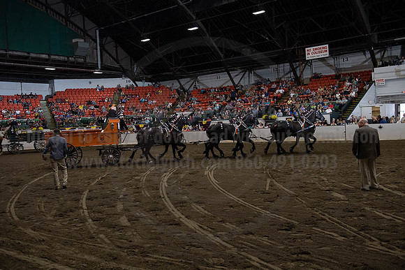 2019BigE_09292019_SCL_9973