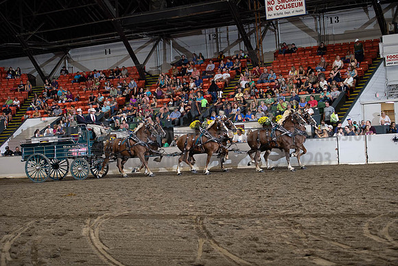 2019BigE_09292019_SCL_9976