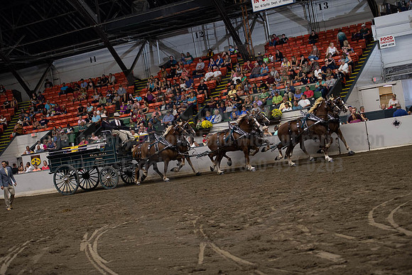 2019BigE_09292019_SCL_9980