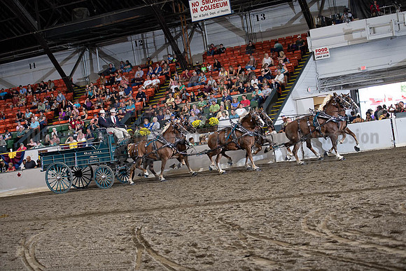 2019BigE_09292019_SCL_9981