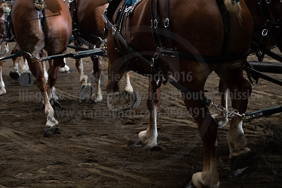2019BigE_09292019_SCL_9982