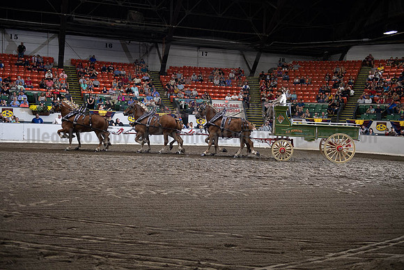 2019BigE_09292019_SCL_9986