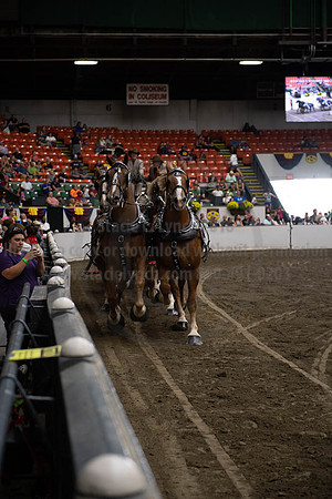 2019BigE_09292019_SCL_9990