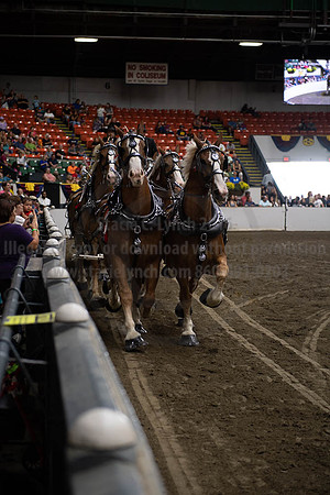 2019BigE_09292019_SCL_9992