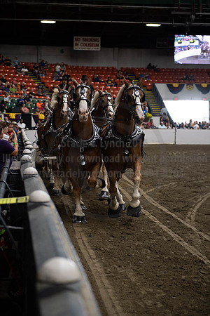 2019BigE_09292019_SCL_9993