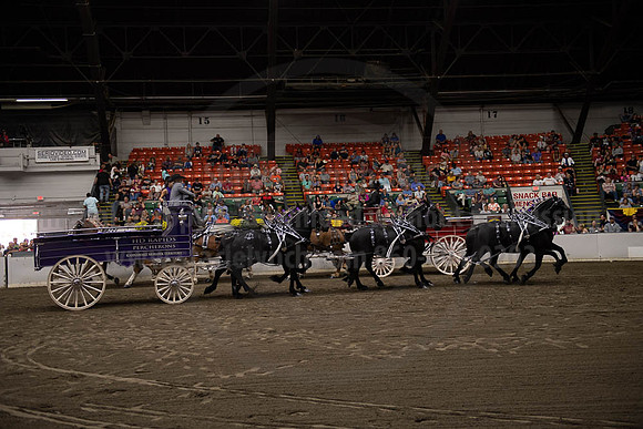2019BigE_09292019_SCL_9999