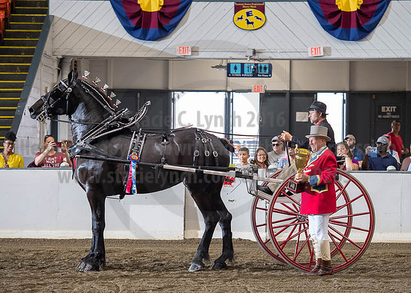 2019BigE_09292019_SCL_9629