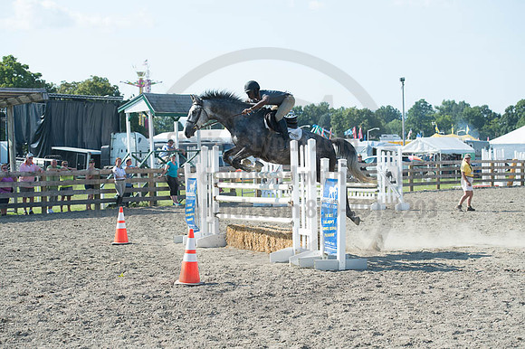 2016DCF_08262016_SCL_0849