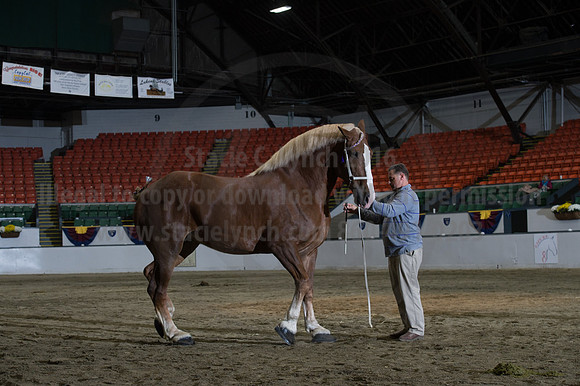 NABC8_10152016_SCL_1832
