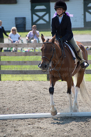 2016DCF_08242016_SCL_8842