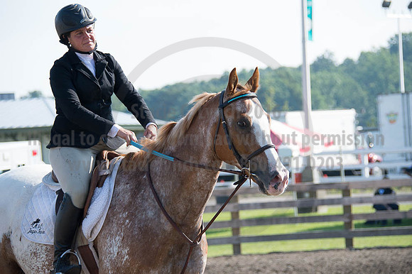 2016DCF_08262016_SCL_0173