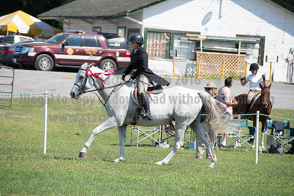 2016DCF_08262016_SCL_0749