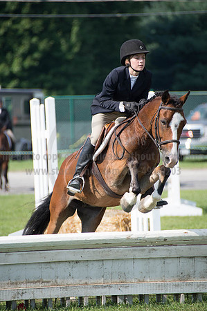 2016DCF_08262016_SCL_0242