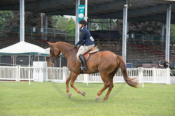 2016DCF_08262016_SCL_0391