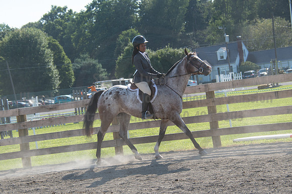 2016DCF_08242016_SCL_9422