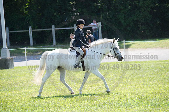 2016DCF_08262016_SCL_0533