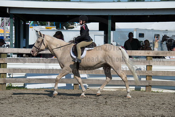 2016DCF_08242016_SCL_8593
