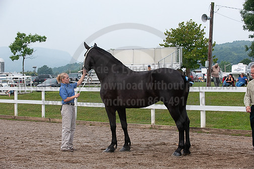ACF_2012_SCL3148
