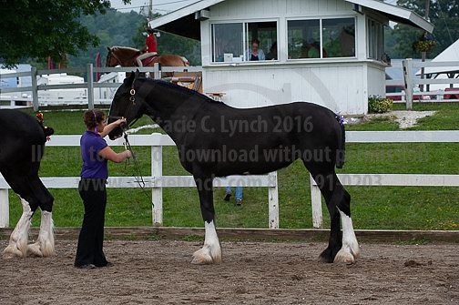 ACF_2012_SCL3224