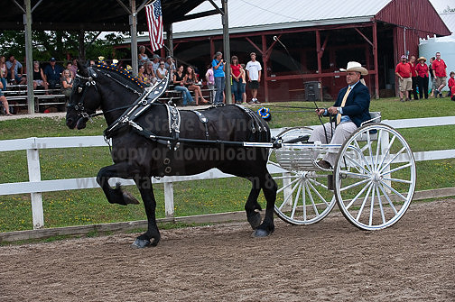 ACF_2012_SCL3869