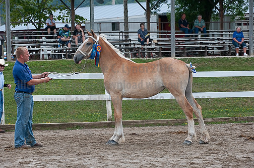 ACF_2012_SCL3275
