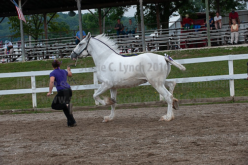 ACF_2012_SCL3383