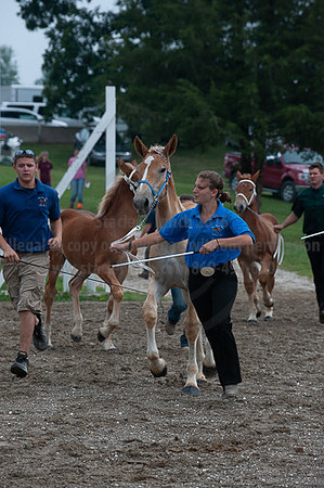 ACF_2012_SCL3237