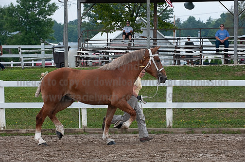ACF_2012_SCL3345