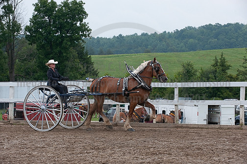 ACF_2012_SCL3793