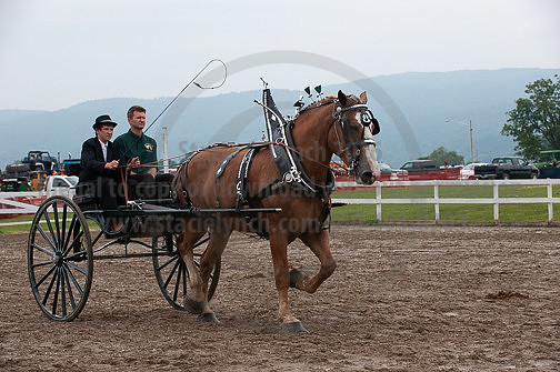 ACF_2012_SCL3719