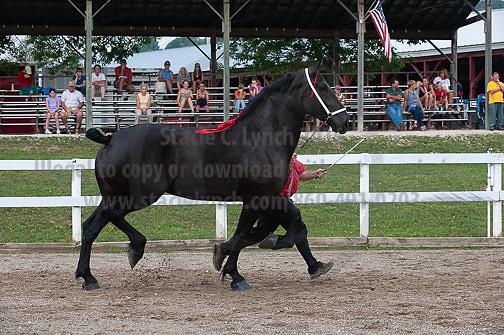 ACF_2012_SCL3369