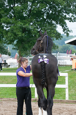 ACF_2012_SCL3201
