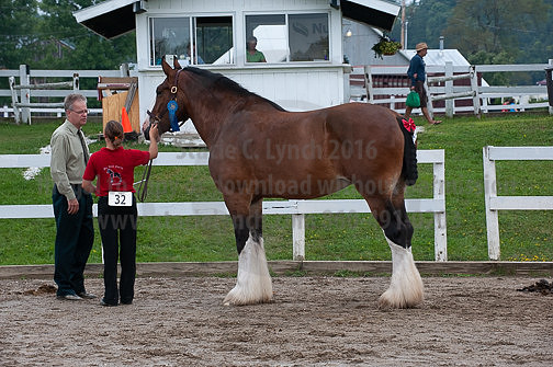 ACF_2012_SCL3456