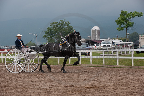 ACF_2012_SCL3886
