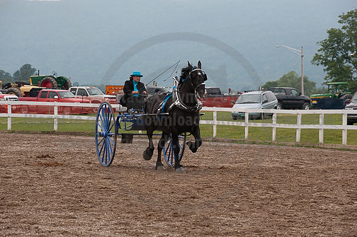 ACF_2012_SCL3621