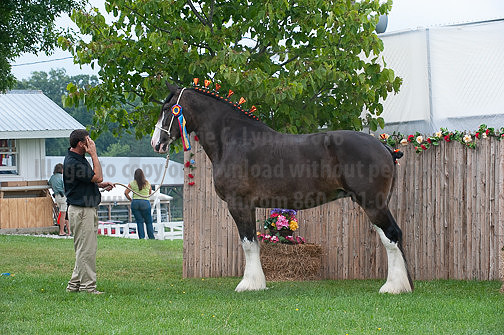 ACF_2012_SCL3483