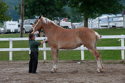 ACF_2012_SCL3352