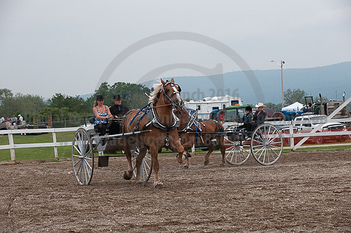 ACF_2012_SCL3656